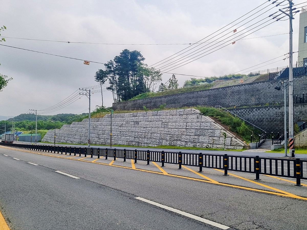 용인대학교 진입로.jpg